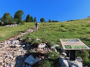 SENTIERO DEI FIORI da Capanna 2000 al Passo di Gabbia -22lu25- FOTOGALLERY